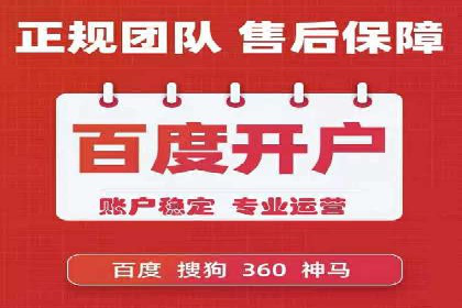 百度推广在电商行业的应用案例分析