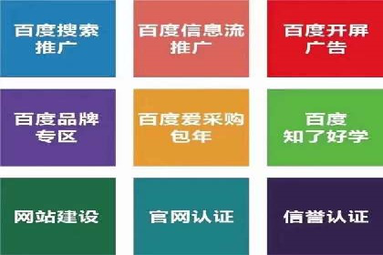 成功运用SEM技术提升网站流量的案例研究